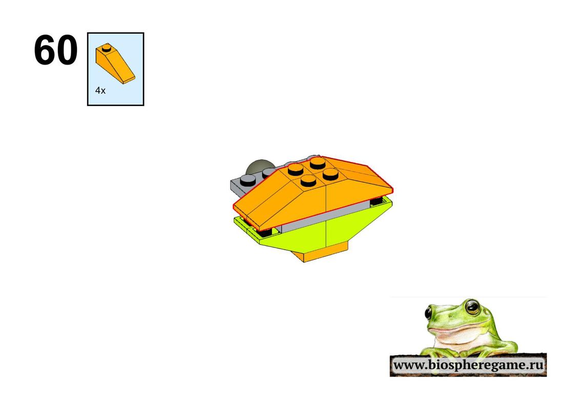 62 62